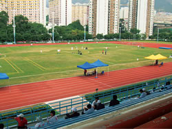 Natural lawn courts of the Championships