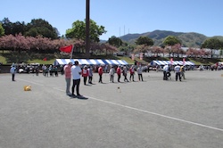 戦国編 ゲートボール 戦国編 ゲートボール デッキリスト - てすとぷれいやー